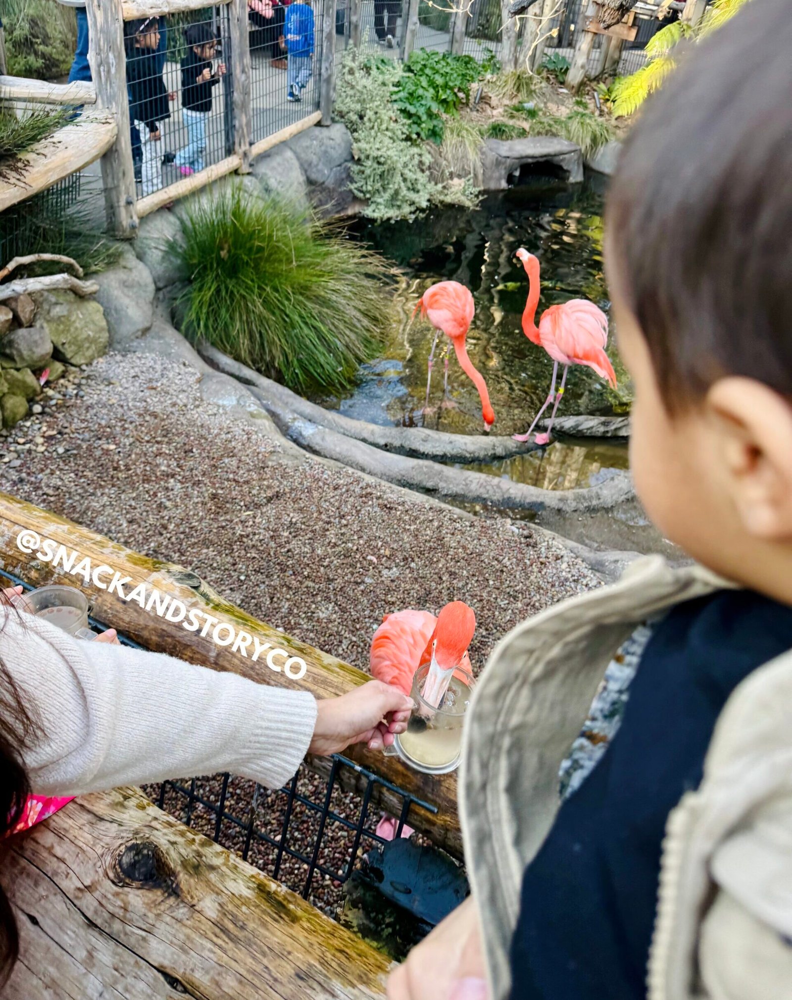 Taking Turns: A Slow (but Meaningful) Skill in the Making